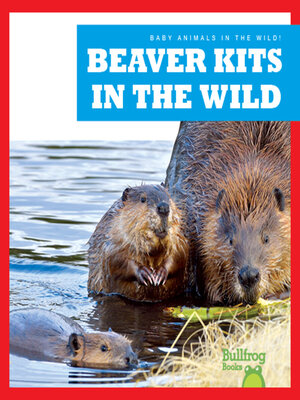 cover image of Beaver Kits in the Wild